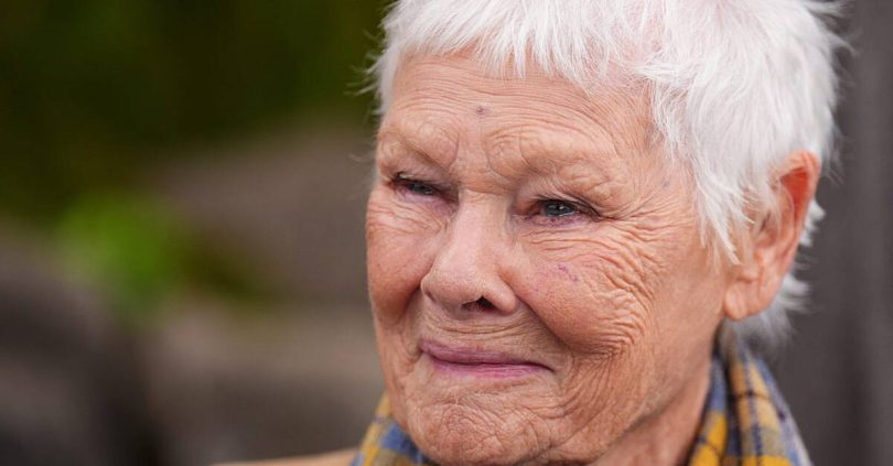 judi dench becomes patron of leinster regiment association