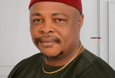 kenneth udeze