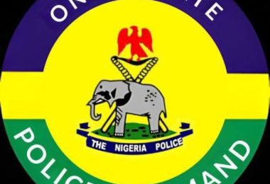 ondo police command logo