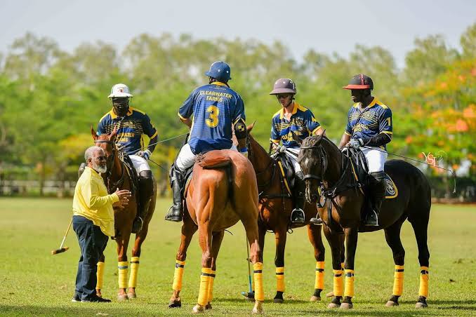 polo