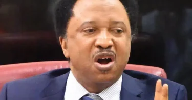 shehu sani 1