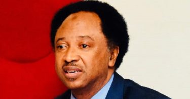 shehu sani says