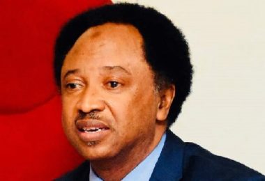 shehu sani says