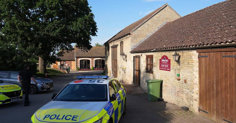 zoo owner s wife jumped into crocodile enclosure to save three year old boy in england
