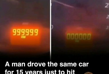 1784018006562