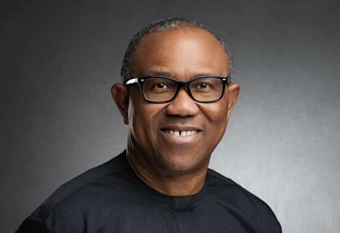78f1dc4e 142f 44e4 a328 f15724fe63d4 peter obi 1