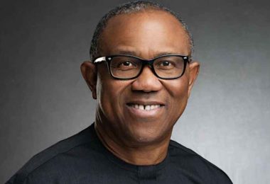 78f1dc4e 142f 44e4 a328 f15724fe63d4 peter obi