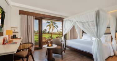 791198 Deluxe Room Nature View w