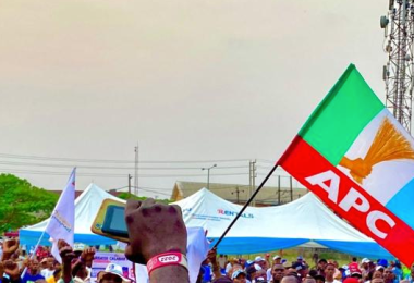 APC FLAG
