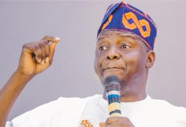 APC National Chairman 41