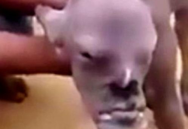 AVvXsEhV2d mvkUDqtuDY WgL8 4N47wX9ULFd0kdXF83dyJnoJbv4PXu1mIPTuRKcKq02kdH1t3soz6RNklcqlUxrG8 JZZIwAf