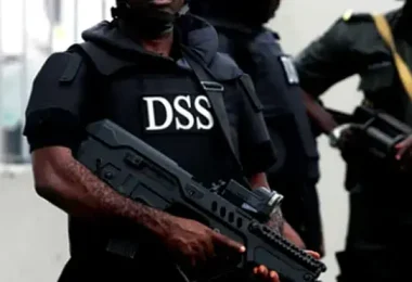 DSS 1 560x371 1