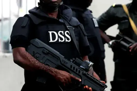 DSS 1 560x371 1