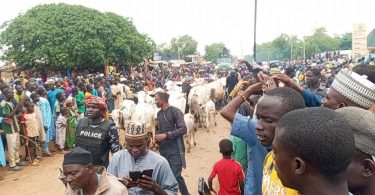 HLQa3QVW8AArrhK