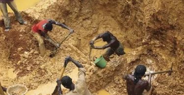 Illegal Mining Activities1