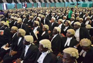 Lawyers 1