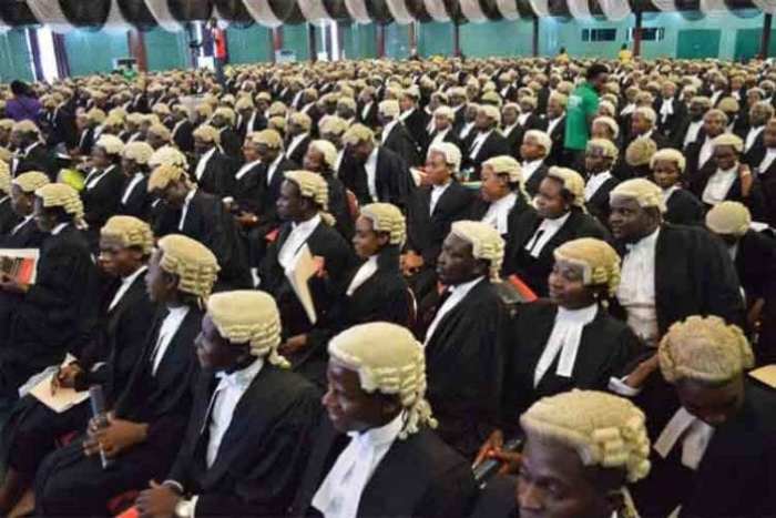 Lawyers 1