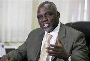 Prof Nnaji