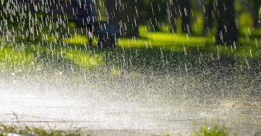 Rain