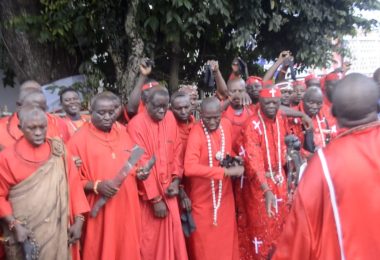 TRADITIONAL DOCTORS