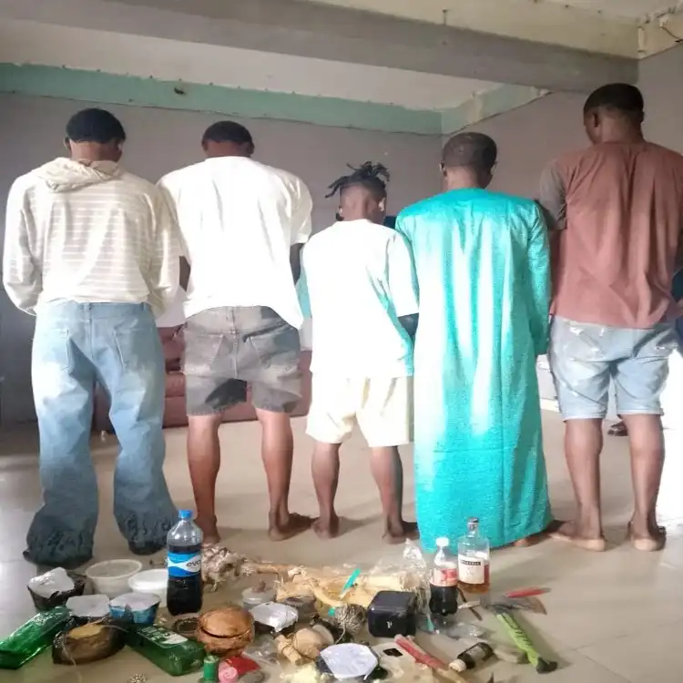 The arrested suspects