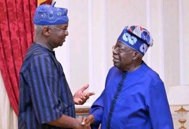Tinubu Hails Fashola At 63 Praises Legacy In Governance