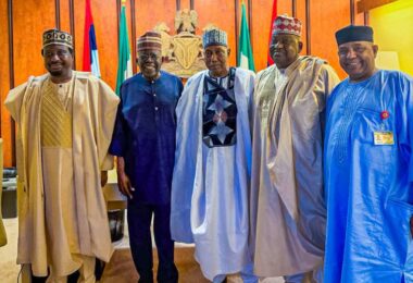 Tinubu meets NDCs Hanga Gaya