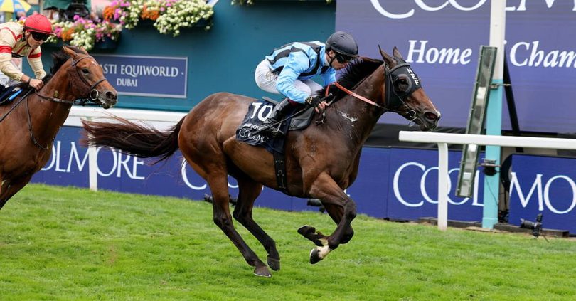 dwyer keen to give asfoora one last hurrah before retirement