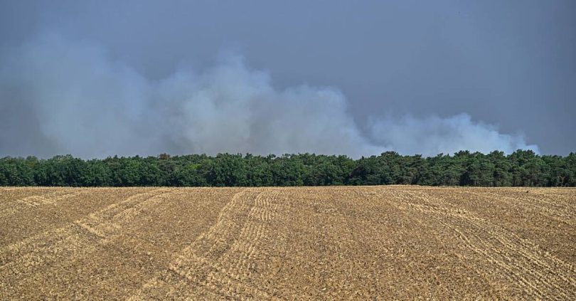 fire in fontainebleau forest south of paris prompts evacuations