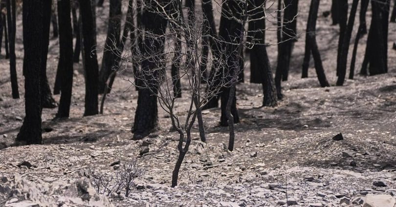 firefighters in central spain battle huge wildfire during heatwave