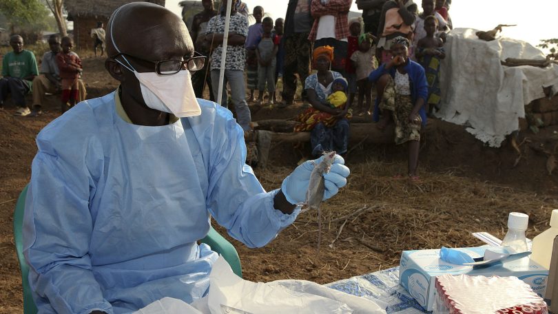 lassa fever edited