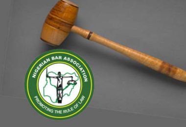 nba law siut