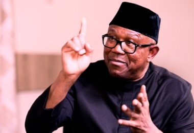 peter obi nigeria