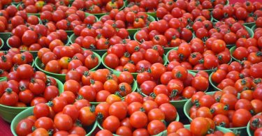 tomatoes in baskets