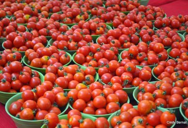 tomatoes in baskets