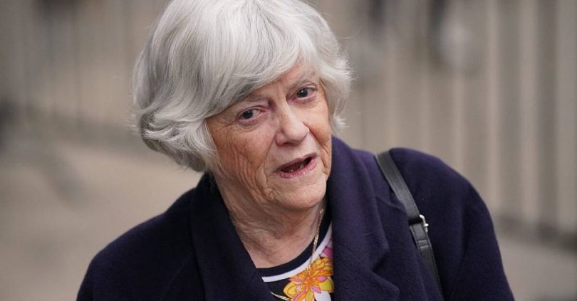 uk police arrest 28 year old man on suspicion of the murder of ann widdecombe